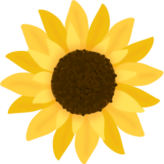 Sunflower Jewelry